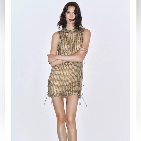 Zara Embroidered Beaded Mini Dress - Picture 7 of 11